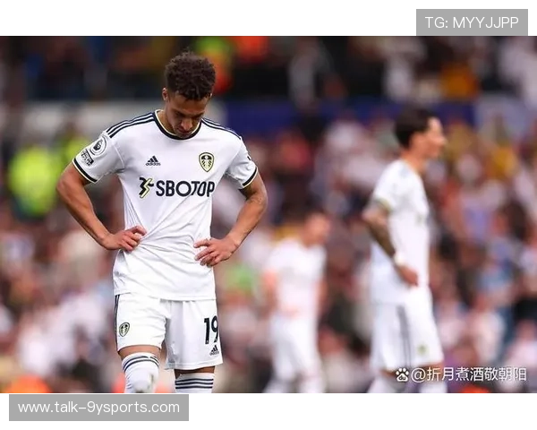 利兹联俱乐部百年沉浮与英格兰足球荣耀复兴之路探索